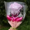 Balão de rosa de mão Dia das Mães deusa Presente de Dia dos Namorados buquê de rosas barraca infantil balão de filme de alumínio