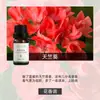 Fabricante de Fuente de Aromaterapia Aceite Esencial de Aromaterapia Soluble en Agua 10 ml Fragancia Vegetal L Difusor Ambientador Máquina de Aromaterapia Aceite Esencial