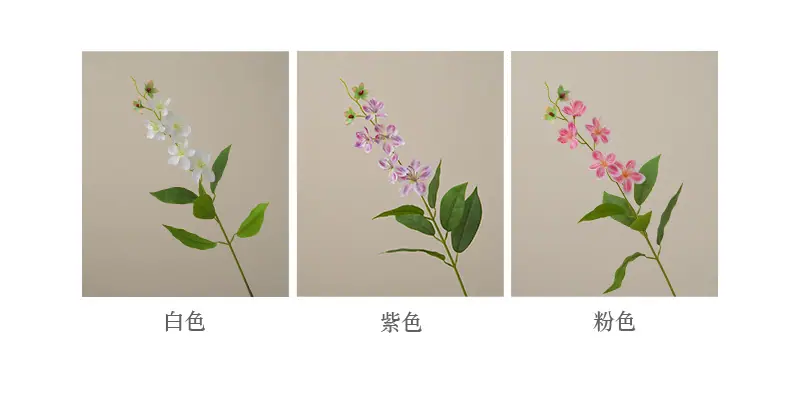 垂丝茉莉_03.jpg