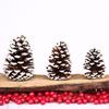 Decorações de Pinha Branca de Natal, Artigos para Festa, Enfeites Pendentes, Materiais para DIY de Guirlanda de Natal, Venda Direta da Fábrica