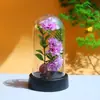Flor Artificial Cravo Luminoso LED Luz Noturna Decoração de Mesa Presente de Dia dos Namorados Presente de Dia das Mães Dia das Crianças