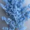 Podocarpus Seco con Materiales Decorativos Flores Preservadas Creativas Hecho a Mano DIY Materiales Florales Fotografía Ramilletes Adornos Mayoreo