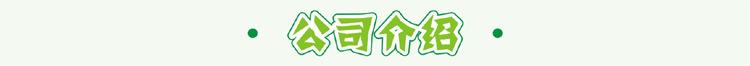 公司介绍