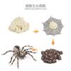 Simulación sólida Araña Naruto ciempiés modelo de insecto juguete para niños mariposa abeja animal decoración bandeja de arena