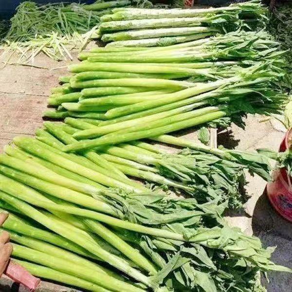 hGyTiPyjzNQBNGurwsOUhrT0vWX1pQ6a1m0H