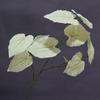 Simulación de planta verde, hoja de alocasia, impresión 3D, hojas de lluvia de primavera, decoración de boda, flores de carretera, plantas, decoración de pared, hojas