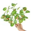 Ventas directas del fabricante: Decoración de pared de planta de césped artificial persa, plantas verdes de hoja perenne, manojos pequeños para decoración de proyectos, plantas verdes artificiales