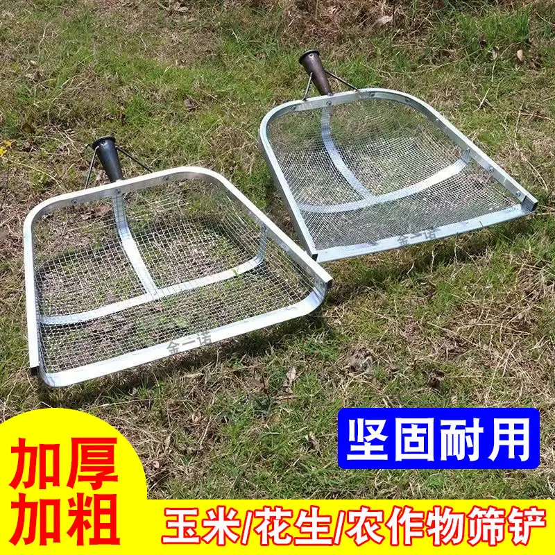 主图