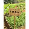 Estaca de Suelo Anticorrosión para Huerto Señal Tablero Vertical para Guardería Etiqueta de Planta Señal Señalización Exterior Señal de Madera Grabado