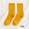 Calcetines para Mujer de Caña Media Otoño e Invierno Color Sólido Algodón Calcetines Ins de Moda Banda Elástica Alta Versátiles Calcetines para Mujer Calcetines Coreanos de Felpa Burbuja