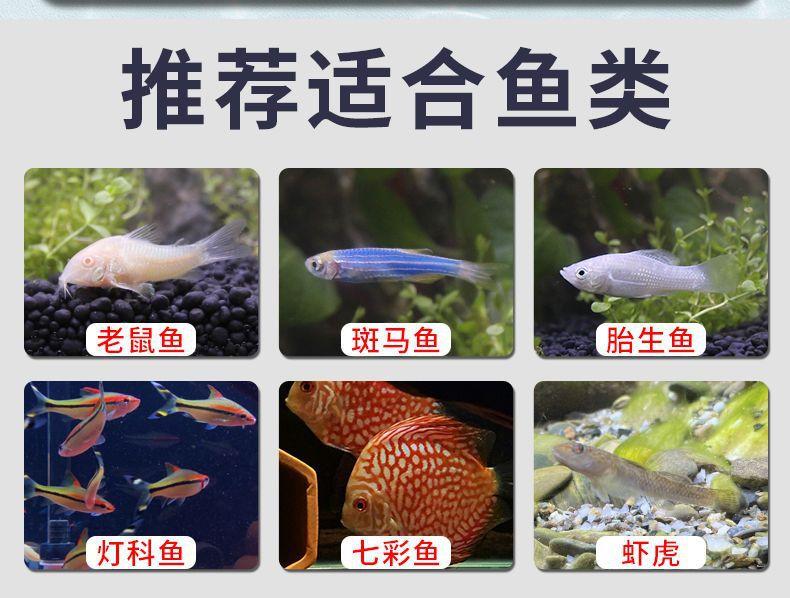 详情页图片3