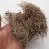Cuatro Baldosas, Cuatro Hojas, Cuatro Hojas de Asarum, Venta al por Mayor y Entrega de Wan Gendan