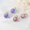 Brincos Elegantes de Alta Qualidade Redondos Explosivos para Mulheres, Versáteis para o Dia a Dia, Pingente de Flor Eterna Pérola, Brincos de Resina com Flores Reais