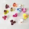 Novas Flores Artificiais de Orquídea Borboleta de 7cm para Decoração de Parede de Flores de Casamento, Materiais de Flores Artificiais para Buquês de Mão DIY, Presilhas de Cabelo e Cabeças de Flores Pequenas