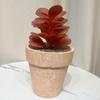 Simulación de plantas carnosas decorativas para el hogar, arreglos de mesa, pequeños adornos, plantas carnosas en maceta, suministro transfronterizo, flores de simulación