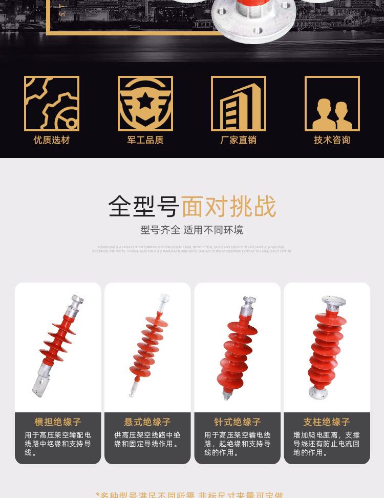 FSZW-12-5绝缘子详情页_02.jpg