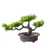 Ornamento de bonsai de pinho bem-vindo novo plantio de simulação chinês bonsai decorações de varanda de casa sala modelo de hotel