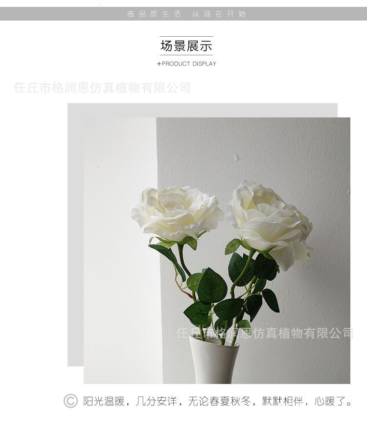单支玫瑰花_07.jpg