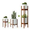 Paquete de 2 Soportes para Plantas de Interior, Soporte para Plantas de 2 Niveles, Soporte para Plantas de Bambú, Ancho Ajustable 8 - 12 Pulgadas