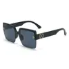 Gafas de Sol Nuevas 2025 Europeas y Americanas de Gama Alta Atmósfera Gafas de Sol para Conducir Gafas de Sol de Moda para Celebridades de Internet Gafas de Sol de Marco Grande Tendencia