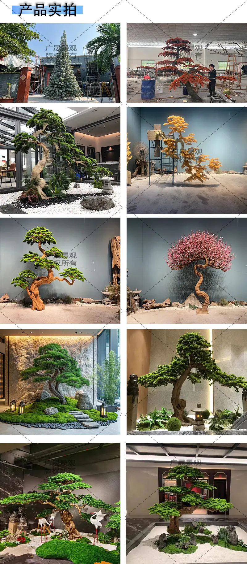 2 产品实拍图