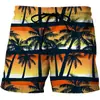Pantalones de Playa Estampados en 3D Nuevos de Verano, Shorts con Paisaje de Atardecer Vacacional, Hechos en Fábrica al por Mayor Dropshipping DIY