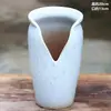Vaso de flores carnudo doméstico fita de incisão alta entalhe planta zisha cerâmica penhasco pilha velha vaso respirável