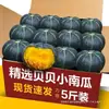 Calabaza para bebé 5 libras comida para bebé sabor castaña calabaza pequeña verduras frescas mini calabaza venta al por mayor envío gratis 3