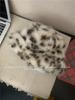 Novo chapéu de pelúcia com estampa de leopardo para mulheres no outono e inverno, chapéu de pescador pequeno que mostra o rosto, chapéu de proteção para orelhas quentes, chapéu peludo estilo coreano