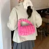 Nuevos Bolsos de Felpa para Mujer, Bolsos Cruzados de Hombro Único Texturizados de Otoño e Invierno, Bolsos de Mano Versátiles de Tendencia Nicho, Venta al por Mayor Transfronteriza