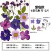 Marcador de Flores Secas Espécimen de Planta Película Selladora Botella Flores Prensadas Recolectadas en Otoño Material Hecho a Mano DIY Flor Transparente