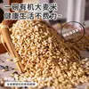 Arroz de Cevada Orgânico Danhoyuan 400g, Descascado e Polido, Grãos Mistos, Envio Direto da Origem, Grãos de Cevada, Mingau de Grãos Grossos