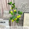 Ramas Pequeñas de Manzana Artificiales para Decoración Suave de Año Nuevo, Entrada, Decoración de Sala de Estar, Adornos para Mueble de TV, Frutas de Espuma, Frutas Rojas, Bayas Artificiales