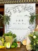 Fundo para Decoração de Festa de 100 Dias, Primeiro Aniversário, Tema Jardim Fresco, Minimalista Ins Estilo Coreano, Placa de KT