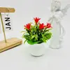 Nuevas 5 Orquídeas Pequeñas Maceta Cuadrada Pequeña Bonsái Simulación Floral Falsa Pastoral Bonsái de Interior Mesa de Comedor de Sala de Estar Accesorios Decorativos