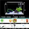 Acuario para Sala de Estar Modelo Nuevo 2025, No Necesita Cambiar Agua, Autocirculante con Oxígeno, Juego Completo de Tanque de Vidrio Curvado en Caliente para Paisajismo Acuático, Tanque Ecológico de Hierba