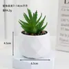 Venta al por mayor de plantas suculentas artificiales, lote mixto de plantas suculentas en maceta diamante, ventas directas de fábrica, decoraciones de plantas verdes para oficina