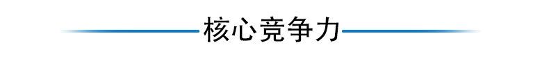核心竞争力