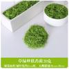 Césped de Musgo Simulado, Adornos Artificiales de Micropaisaje, Decoración de Musgo en Maceta para Bonsái, Musgo Falso Filamentoso para Paisajismo