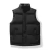Chaleco moderno estilo japonés para otoño e invierno, cuello alto, talla grande, versátil, nuevo chaleco exterior engrosado