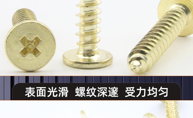 金色304不锈钢CA十字薄头自攻螺丝_03_17.jpg