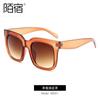 Volumen en vivo nuevas gafas de sol de moda para damas gafas de sol retro gafas de sol para mujer 2022 transfronterizas Europa y Estados Unidos