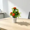 Simulación Transfronteriza 5 Árboles Frutales Bonsái Pequeño Decoración del Hogar Fruta de la Riqueza Planta en Maceta Planta Verde Adorno de Mesa de Sala de Estar