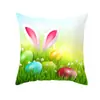 Amazon transfronterizo Conejo de Pascua nórdico huevo nuevo festivo hogar sofá coche piel de melocotón funda de almohada