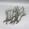 Tocones de Árbol Muerto Ramas Modelo Microscópico Escena Fabricación Suministros para Mascotas Base de Figura Embellecimiento de Fondo Decoración Obstáculo