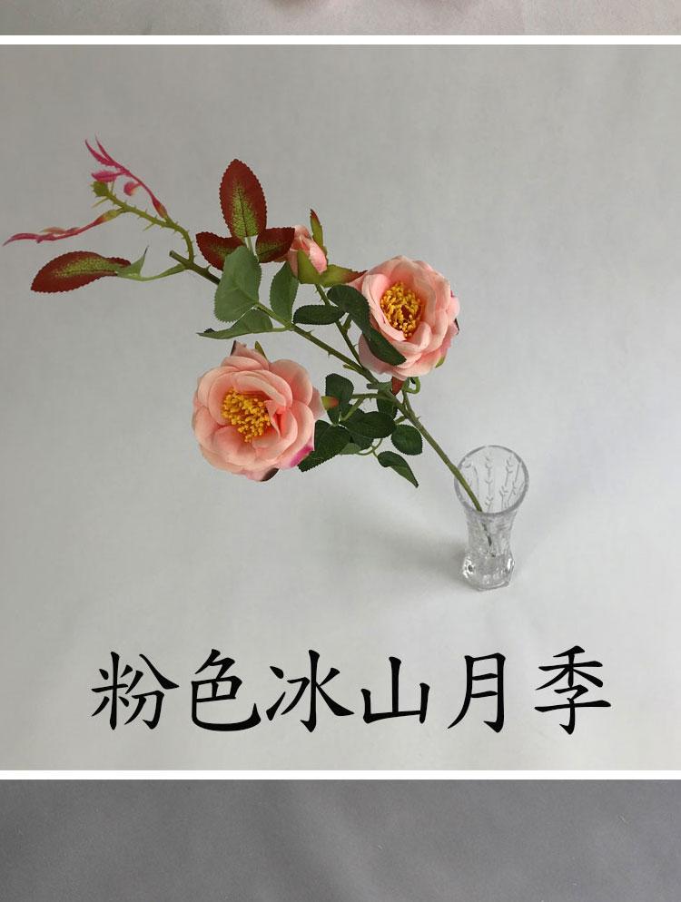 粉色系花材详情_13.jpg