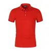 Nuevo modelo transfronterizo, camisa Polo de color liso para hombre, camiseta talla grande de comercio exterior, estilo europeo y americano, corte holgado de manga corta, moderna y a la moda, versátil