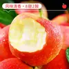 Manzanas Gala de Liangshan 5 kg Frutas Frescas de Temporada Fuji Verde y Rojo Crujientes Dulces Costra de Azúcar Manzana Fea Caja Completa Envío Gratis