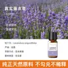 Vela de Aromaterapia para Plantas Transfronteriza Aceite Esencial Aceite Único Soluble en Aceite Jabón Artesanal DIY Jabón en Frío Bálsamo Vela Aceite Esencial de Aromaterapia