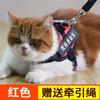 Correa para gatos antirroturas, especial para pasear y vapear, collar con cuerda para gatitos, cadena para mascotas